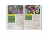 The Lost Book of Herbal Remedies II – Plant Identification & Herbal Reference Guide Book
